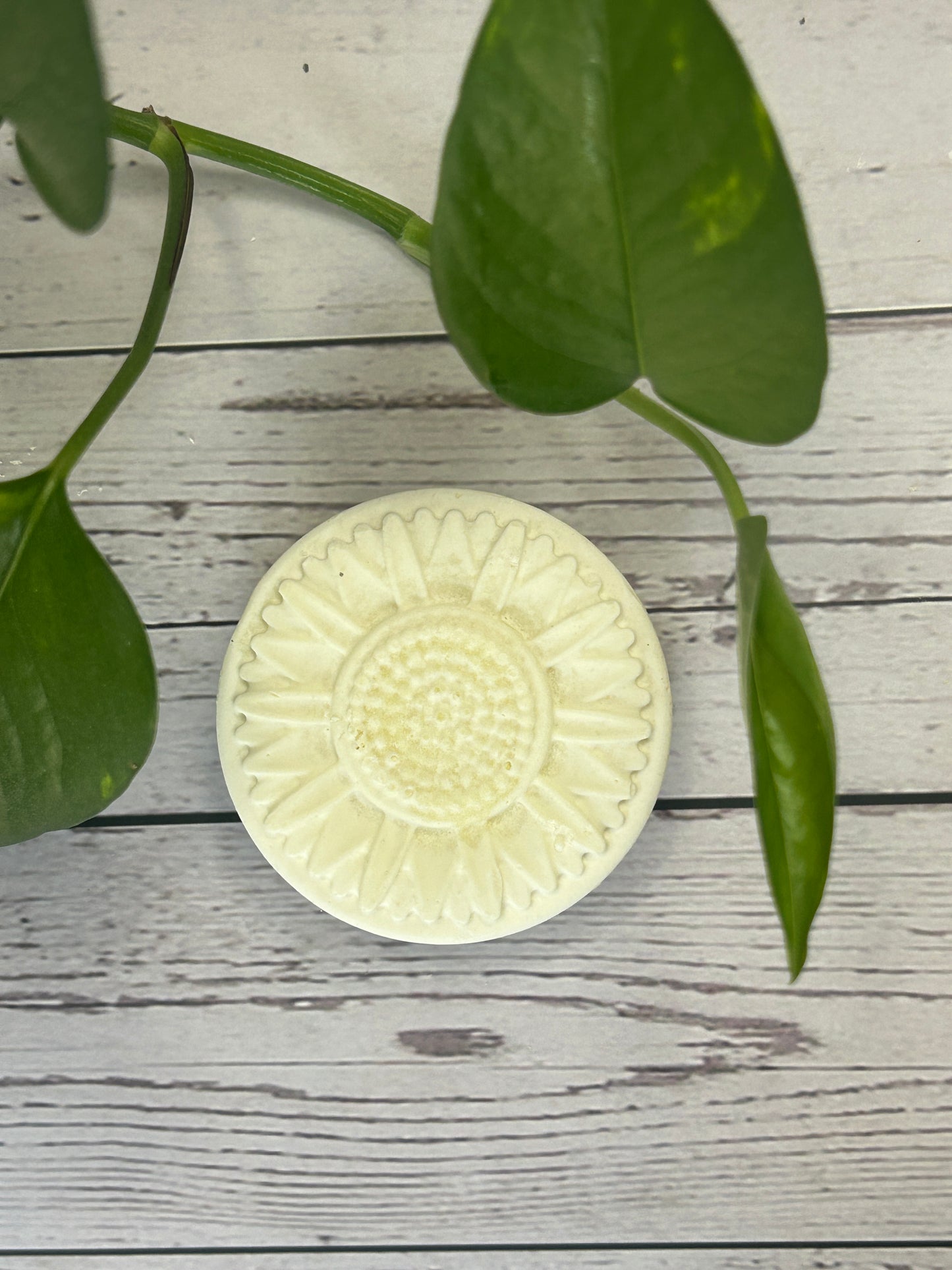 Nourishing Shampoo Bar