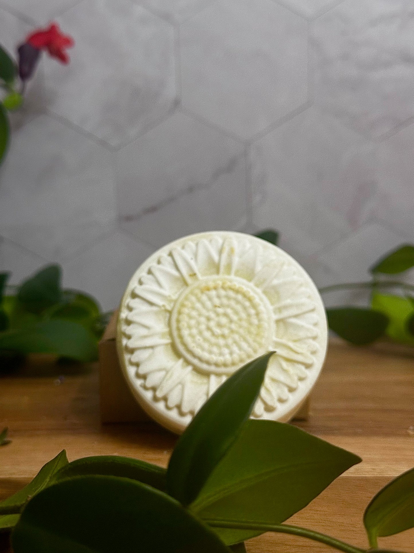 Nourishing Shampoo Bar